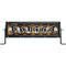 RIGID Industries Radiance+ 10" Amber Backlight Black Housing [210043]